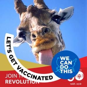 Meet your Posher, Mona